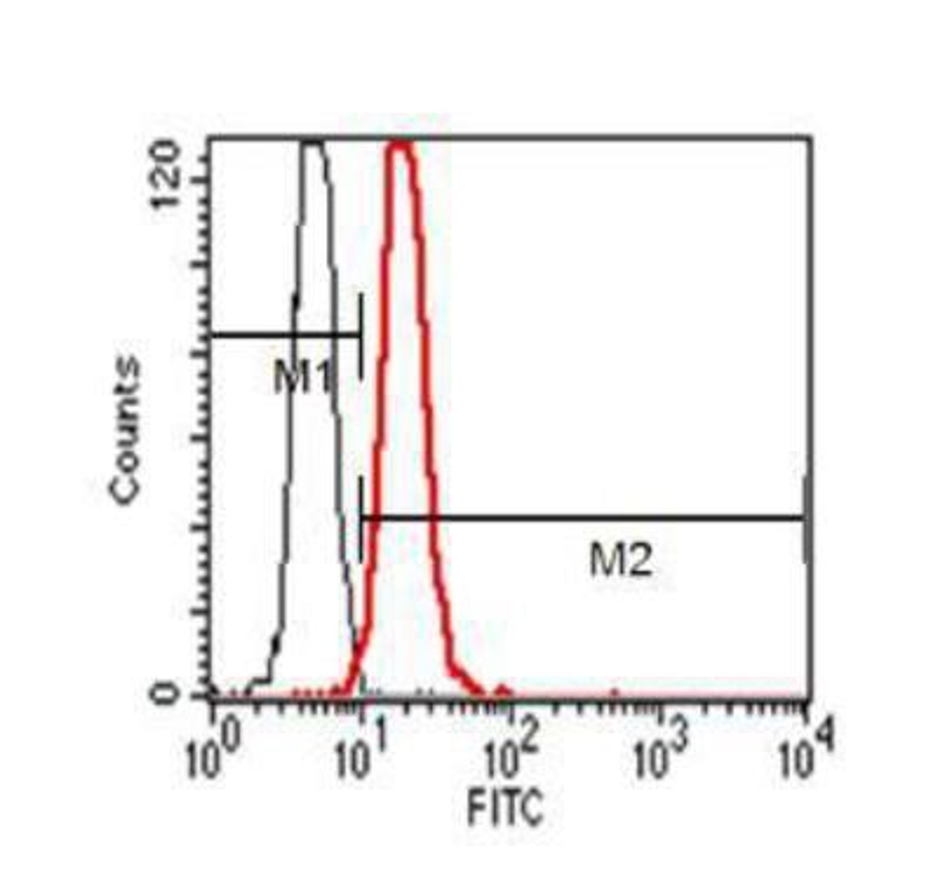 Flow Cytometry: LAMP-2/CD107b Antibody (H4B4) [NBP2-22217] - Analysis using the FITC conjugate of NBP2-22217. Staining of 5ul overlay with isotype on U937 Cells.