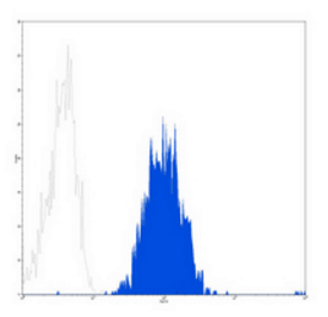 Flow cytometric analysis of Daudi cells using CD86 antibody (FITC)