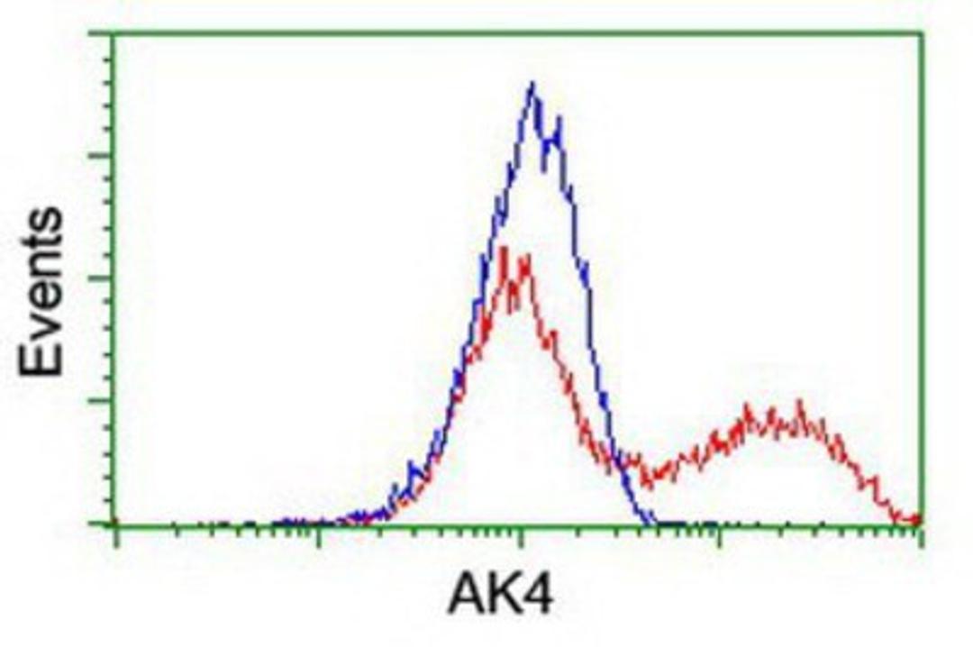 Flow Cytometry: AK3L1 Antibody (3B1) [NBP2-00827] - HEK293T cells transfected with either overexpression plasmid (Red) or empty vector control plasmid (Blue) were immunostained by anti-AK3L1 antibody, and then analyzed by flow cytometry.