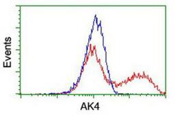 Flow Cytometry: AK3L1 Antibody (3B1) [NBP2-00827] - HEK293T cells transfected with either overexpression plasmid (Red) or empty vector control plasmid (Blue) were immunostained by anti-AK3L1 antibody, and then analyzed by flow cytometry.