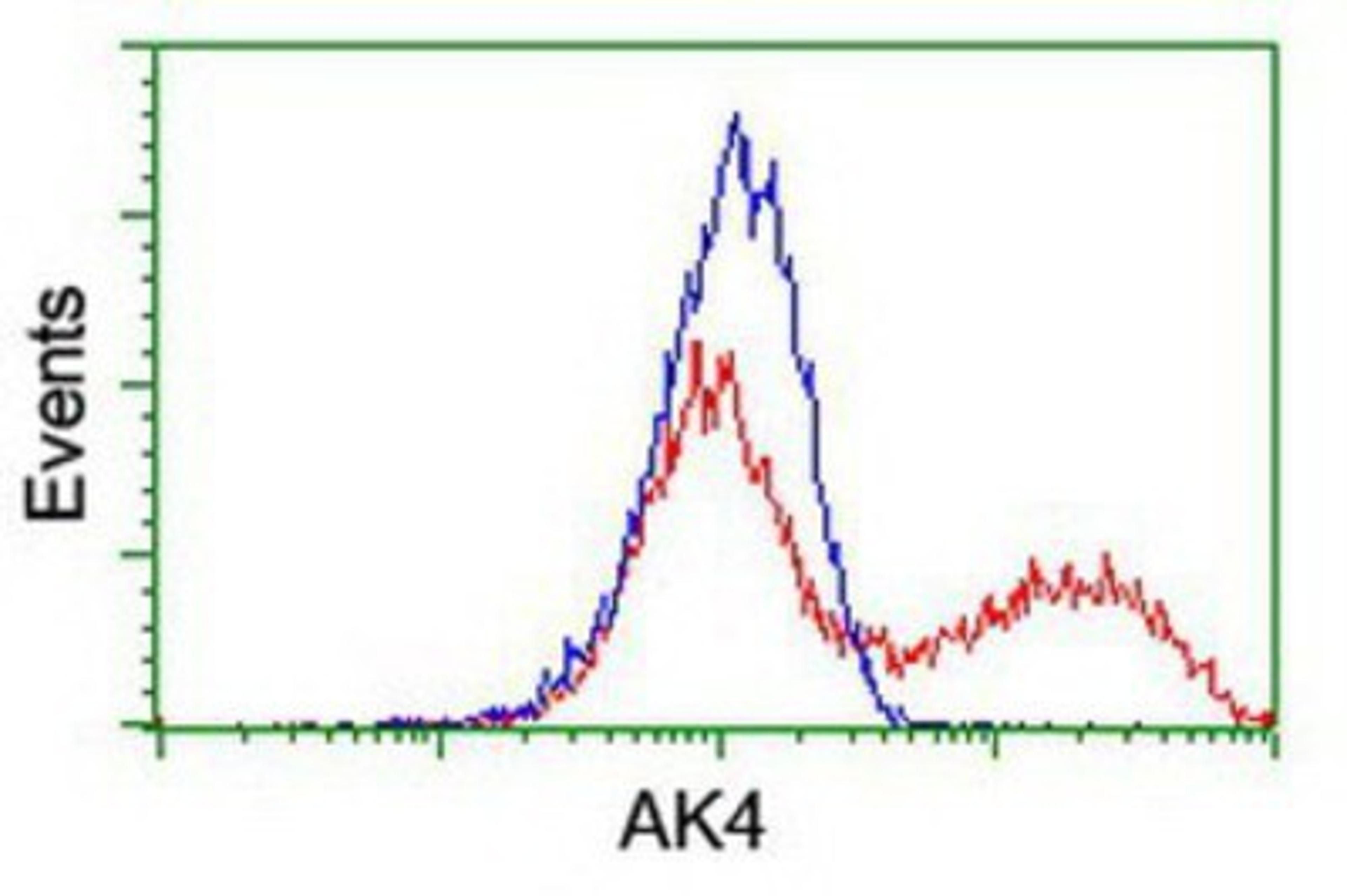 Flow Cytometry: AK3L1 Antibody (3B1) [NBP2-00827] - HEK293T cells transfected with either overexpression plasmid (Red) or empty vector control plasmid (Blue) were immunostained by anti-AK3L1 antibody, and then analyzed by flow cytometry.