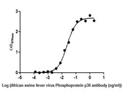 The Binding Activity of  African swine fever virus Phosphoprotein p30(Ba71V-93). Activity: Measured by its binding ability in a functional ELISA. Immobilized African swine fever virus Phosphoprotein p30(Ba71V-93) protein at 2 ug/ml can bind African swine fever virus Phosphoprotein p30(Ba71V-93) Antibody, the EC<sub>50</sub> is 0.01982 to 0.02784 ug/ml.