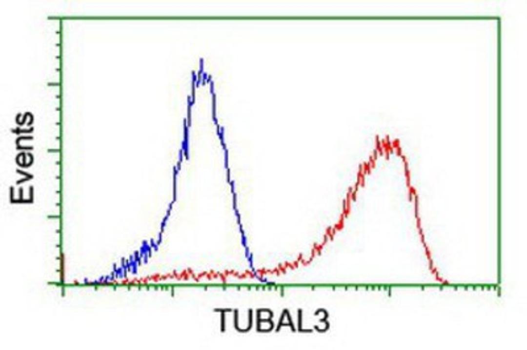 Flow Cytometry: TUBAL3 Antibody (4C5) [NBP2-01476] - Analysis of Hela cells, using anti-TUBAL3 antibody, (Red), compared to a nonspecific negative control antibody (Blue).