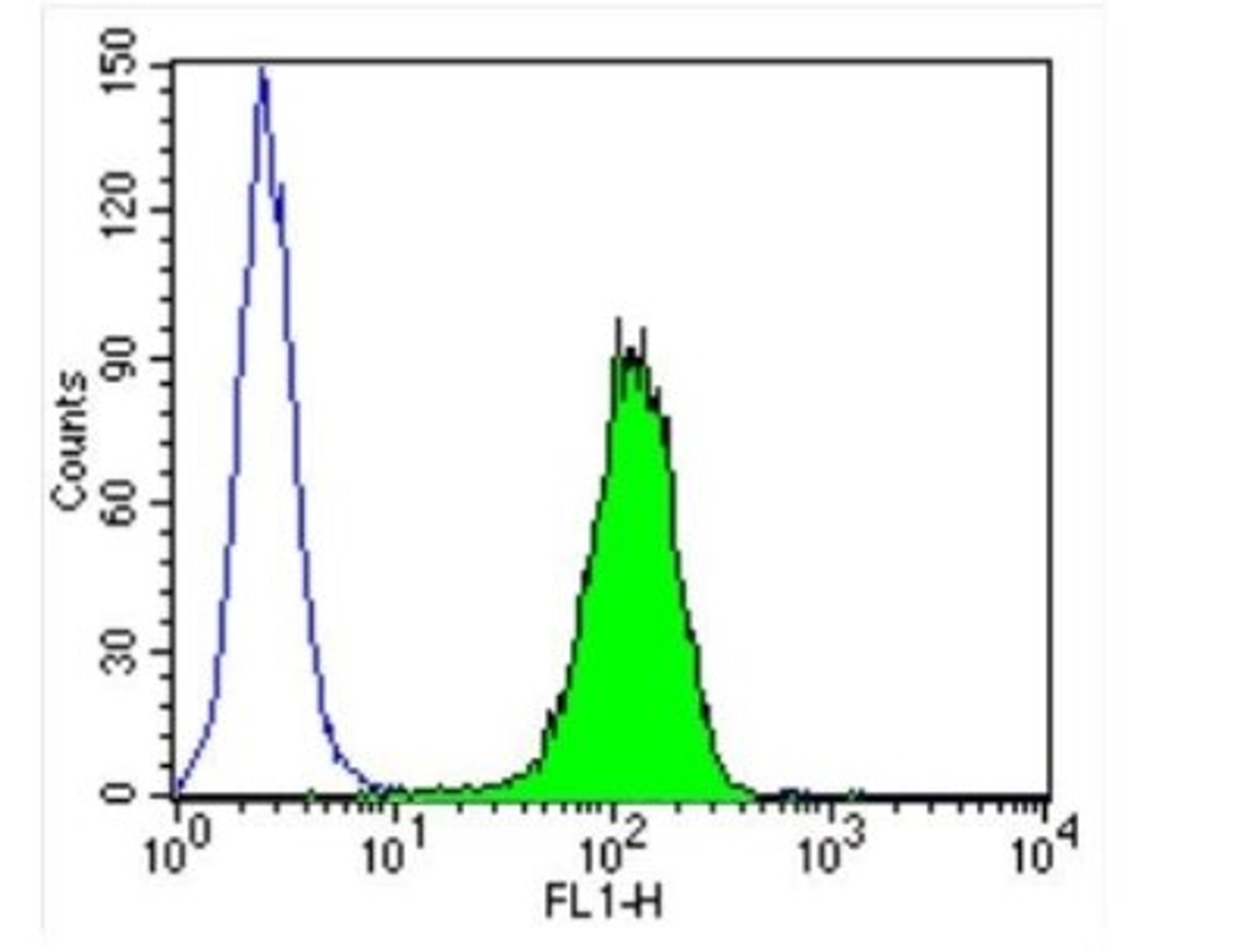 Flow Cytometry: Importin beta/KPNB1 Antibody (3E9) [NB120-2811] - Analysis of Importin beta-1 in PC12 cells (green) compared to an isotype control (blue).