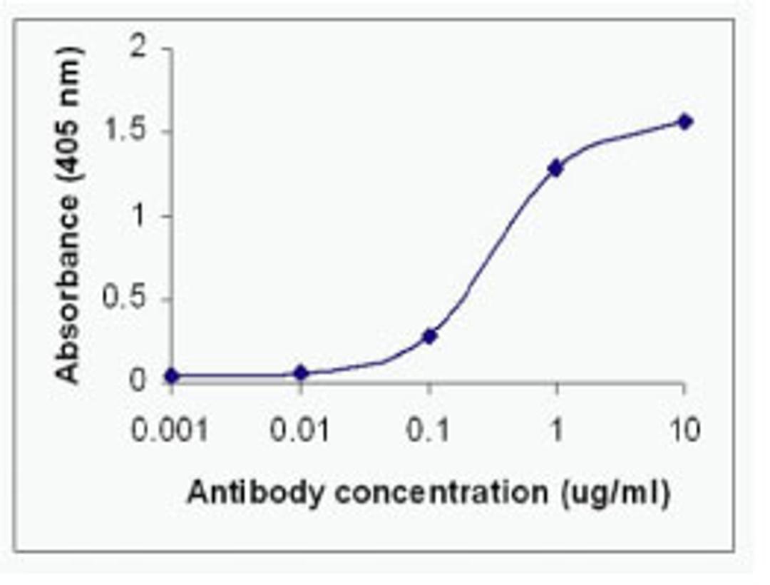 This image shows XW-7233 with the free peptide as test antigen [5ug/ml] and Goat anti-IgY-HRP as second antibody.