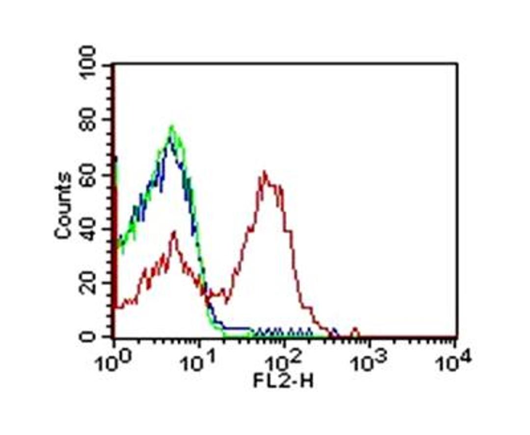 Flow (Cell Surface): CD163 Antibody (6E10.1G6) [NBP2-36494] - Human peripheral blood mononuclear cells / PBMCs were tested in FLOW with 2.5ug / million cells of CD163 antibody clone 6E10.1G6 and 0.5ug/million cells of goat anti-Mouse IgG-PE secondary antibody. Cells alone (Blue), Isotype control IgG2b kappa (Green) and CD163 antibody clone 6E10.1G6 (Red).