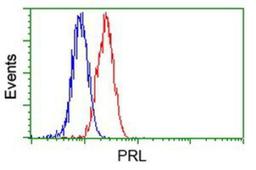 Flow Cytometry: Prolactin Antibody (6B1) [NBP2-02142] - Analysis of Hela cells, using anti-Prolactin antibody, (Red), compared to a nonspecific negative control antibody (Blue).