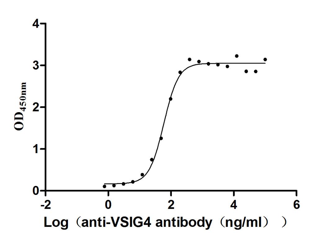 The Binding Activity of VSIG4 with anti-VSIG4 antibody. Activity: Measured by its binding ability in a functional ELISA. Immobilized Human VSIG4(CSB-MP896869HU) at 2 μg/ml can bind Anti-VSIG4 recombinant antibody, the EC<sub>50</sub> is 51.14-68.73 ng/mL.