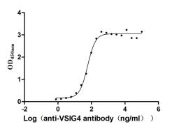 The Binding Activity of VSIG4 with anti-VSIG4 antibody. Activity: Measured by its binding ability in a functional ELISA. Immobilized Human VSIG4(CSB-MP896869HU) at 2 μg/ml can bind Anti-VSIG4 recombinant antibody, the EC<sub>50</sub> is 51.14-68.73 ng/mL.