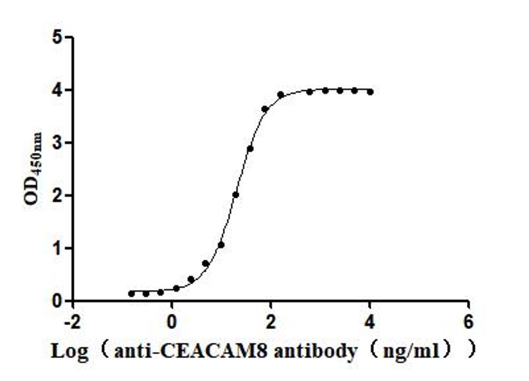The Binding Activity of Human CEACAM8 with Anti-CEACAM8 Recombinant Antibody. Activity: Measured by its binding ability in a functional ELISA. Immobilized Human CEACAM8 (CSB-MP005168HU) at 2 μg/mL can bind Anti-CEACAM8 recombinant antibody, the EC<sub>50</sub> is 19.38-21.68 ng/mL.