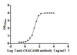 The Binding Activity of Human CEACAM8 with Anti-CEACAM8 Recombinant Antibody. Activity: Measured by its binding ability in a functional ELISA. Immobilized Human CEACAM8 (CSB-MP005168HU) at 2 μg/mL can bind Anti-CEACAM8 recombinant antibody, the EC<sub>50</sub> is 19.38-21.68 ng/mL.