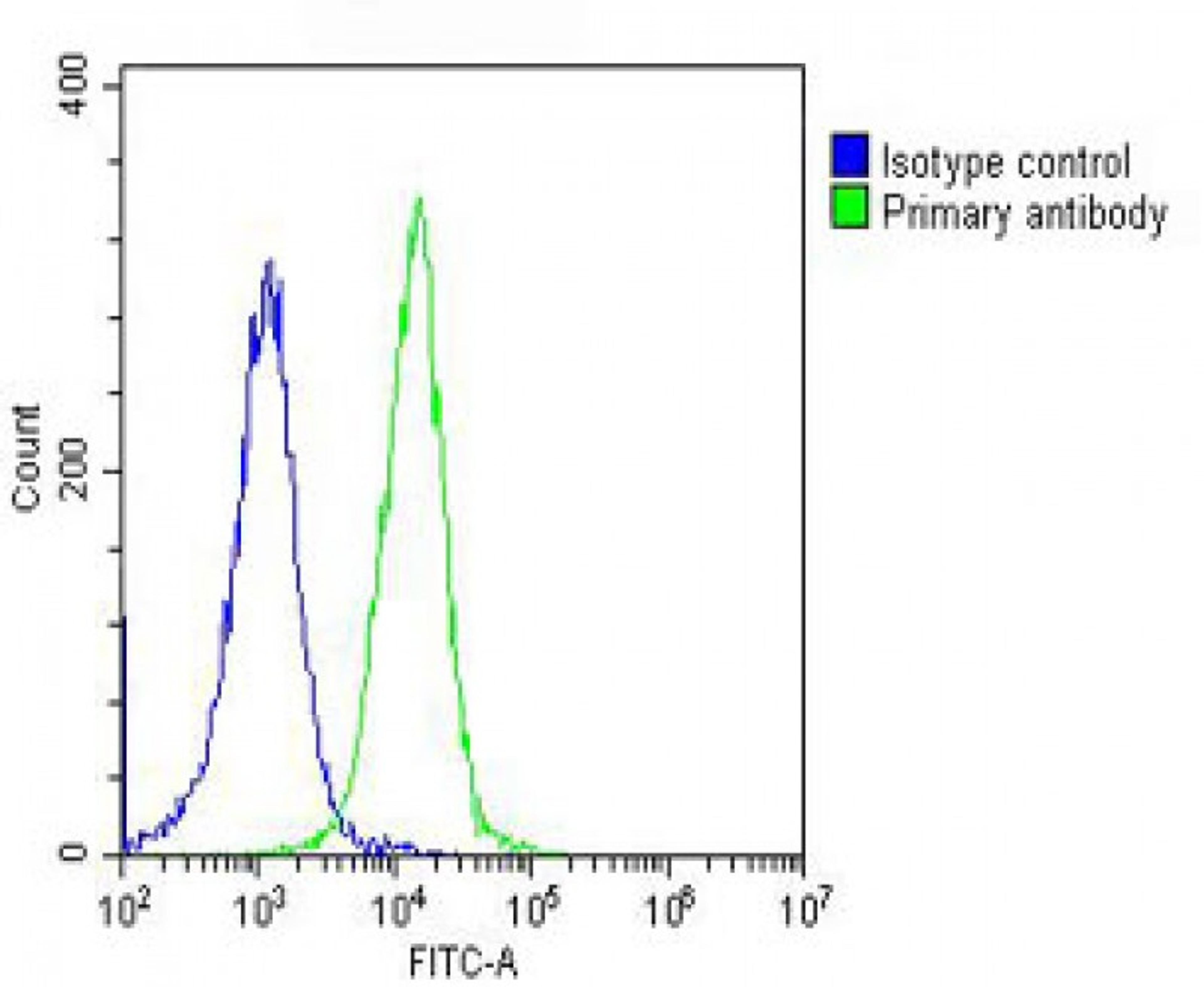 Overlay histogram showing Hela cells stained with Antibody (green line). The cells were fixed with 2% paraformaldehyde (10 min) and then permeabilized with 90% methanol for 10 min. The cells were then icubated in 2% bovine serum albumin to block non-speci