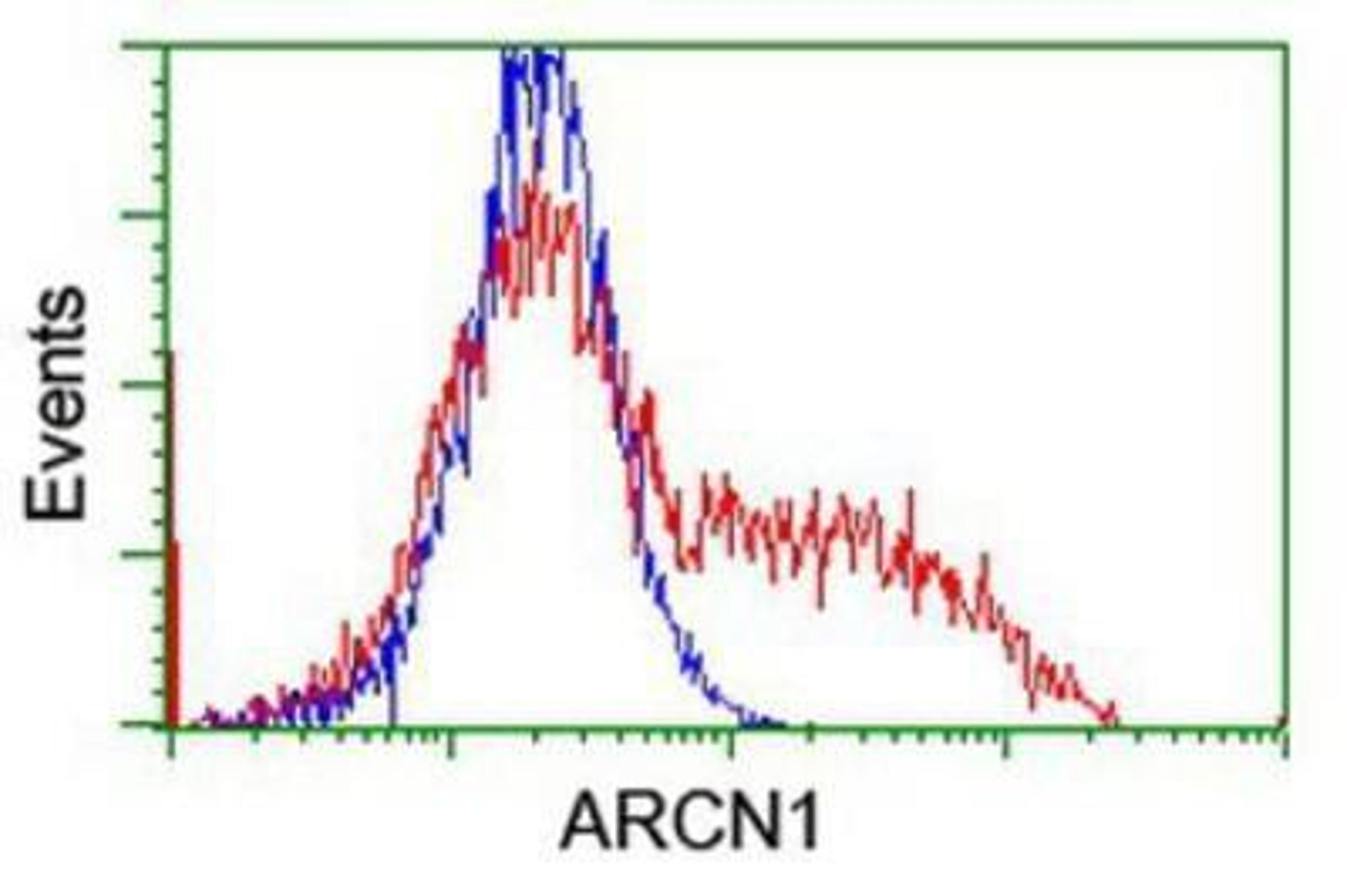 Flow Cytometry: Coatomer Subunit Delta Antibody (6A6) [NBP2-01791] - HEK293T cells transfected with either overexpression plasmid (Red) or empty vector control plasmid (Blue) were immunostained by anti-Coatomer Subunit Delta antibody, and then analyzed by flow cytometry.