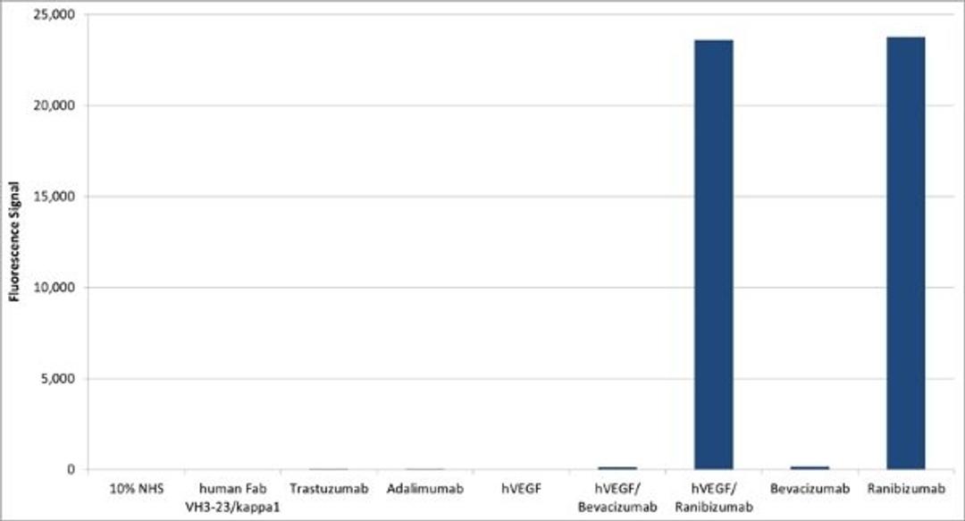 Detection using HRP conjugated Human Anti-Ranibizumab Antibody