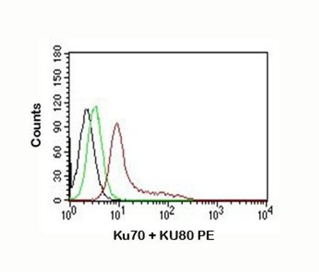 FACS staining of K562 cells using Ku70+Ku80 antibody (PE)