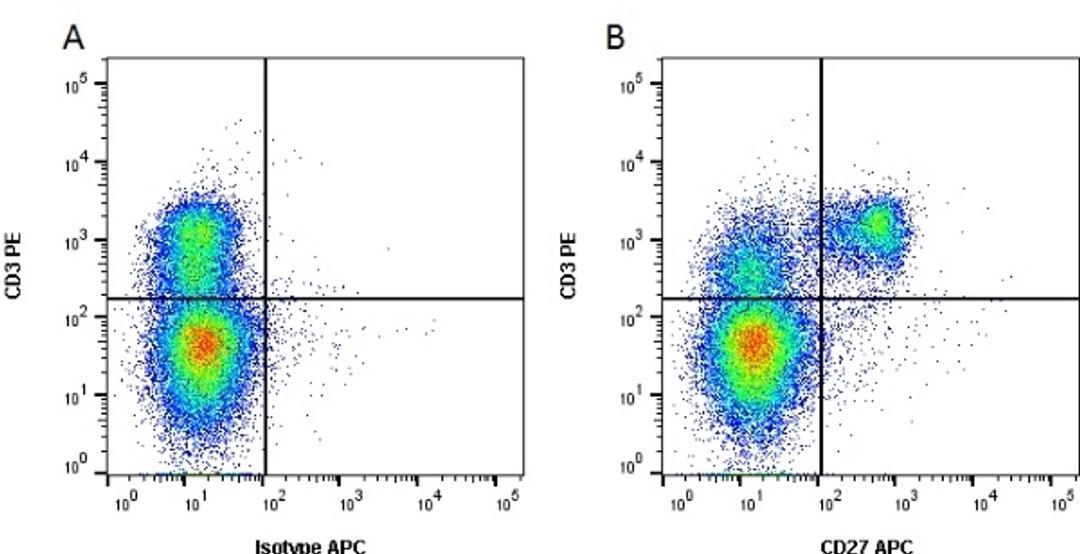Figure A.mouse anti porcine CD3. Figure B. mouse anti porcine CD3 and mouse anti porcine CD27.