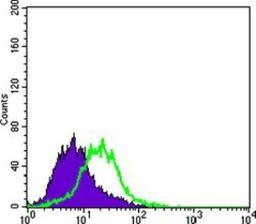 Flow Cytometry: Cytokeratin 15 Antibody (6E7) [NBP1-51587] - Flow cytometric analysis of PACN-1 cells using KRT15 mouse mAb (green) and negative control (purple).