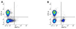 Figure A. mouse anti human CD3. Figure B. mouse anti human CD3 and mouse anti human CD19. 