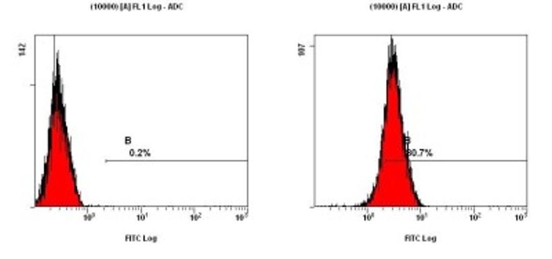 Flow Cytometry: HMGB1/HMG-1 Antibody [NB100-2322] - Staining of NTERA-2 cells using NB100-2322 at a 1:50 dilution detected using Dylight-488 conjugated goat anti-rabbit IgG secondary antibody.