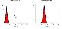 Flow Cytometry: HMGB1/HMG-1 Antibody [NB100-2322] - Staining of NTERA-2 cells using NB100-2322 at a 1:50 dilution detected using Dylight-488 conjugated goat anti-rabbit IgG secondary antibody.