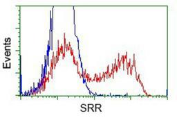 Flow Cytometry: Serine racemase Antibody (2E3) [NBP2-02332] - HEK293T cells transfected with either pCMV6-ENTRY Serine racemase.(Red) or empty vector control plasmid (Blue) were immunostained with anti-Serine racemase mouse monoclonal, and then analyzed by flow cytometry.