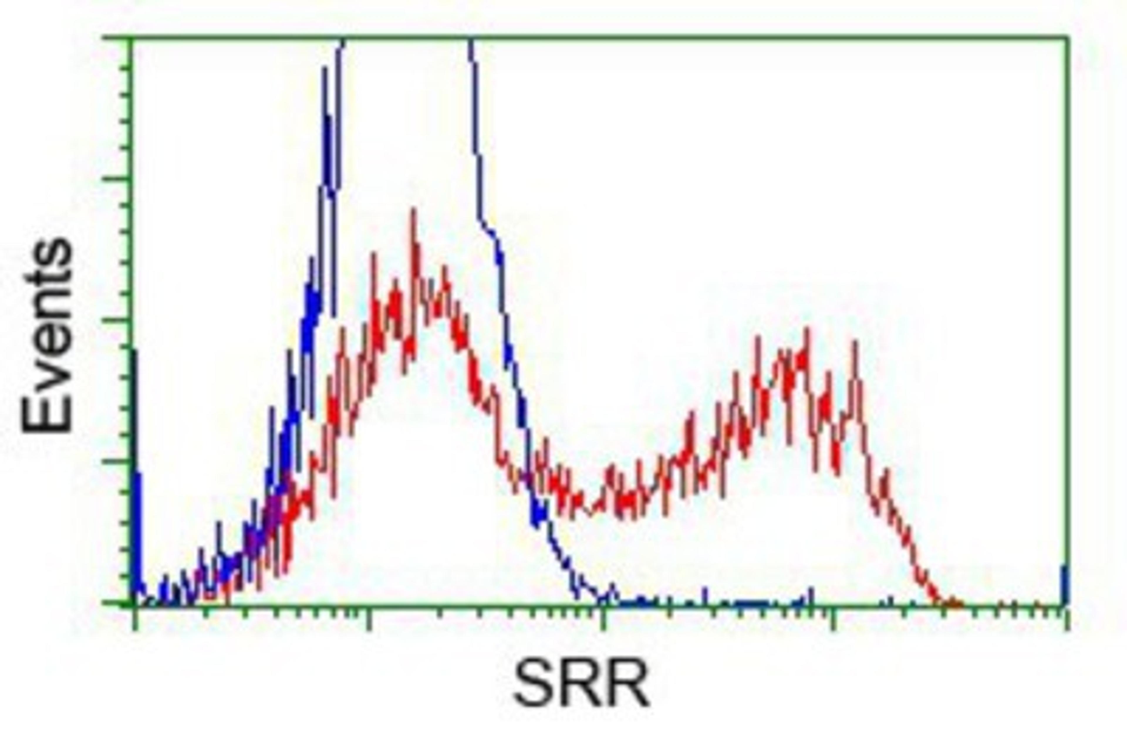 Flow Cytometry: Serine racemase Antibody (2E3) [NBP2-02332] - HEK293T cells transfected with either pCMV6-ENTRY Serine racemase.(Red) or empty vector control plasmid (Blue) were immunostained with anti-Serine racemase mouse monoclonal, and then analyzed by flow cytometry.