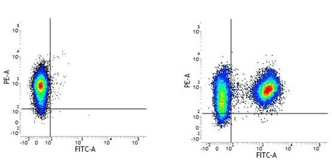 Figure A.Mouse anti Human CD59. Figure B. Mouse anti Human CD59 and Mouse anti Human CD3. 