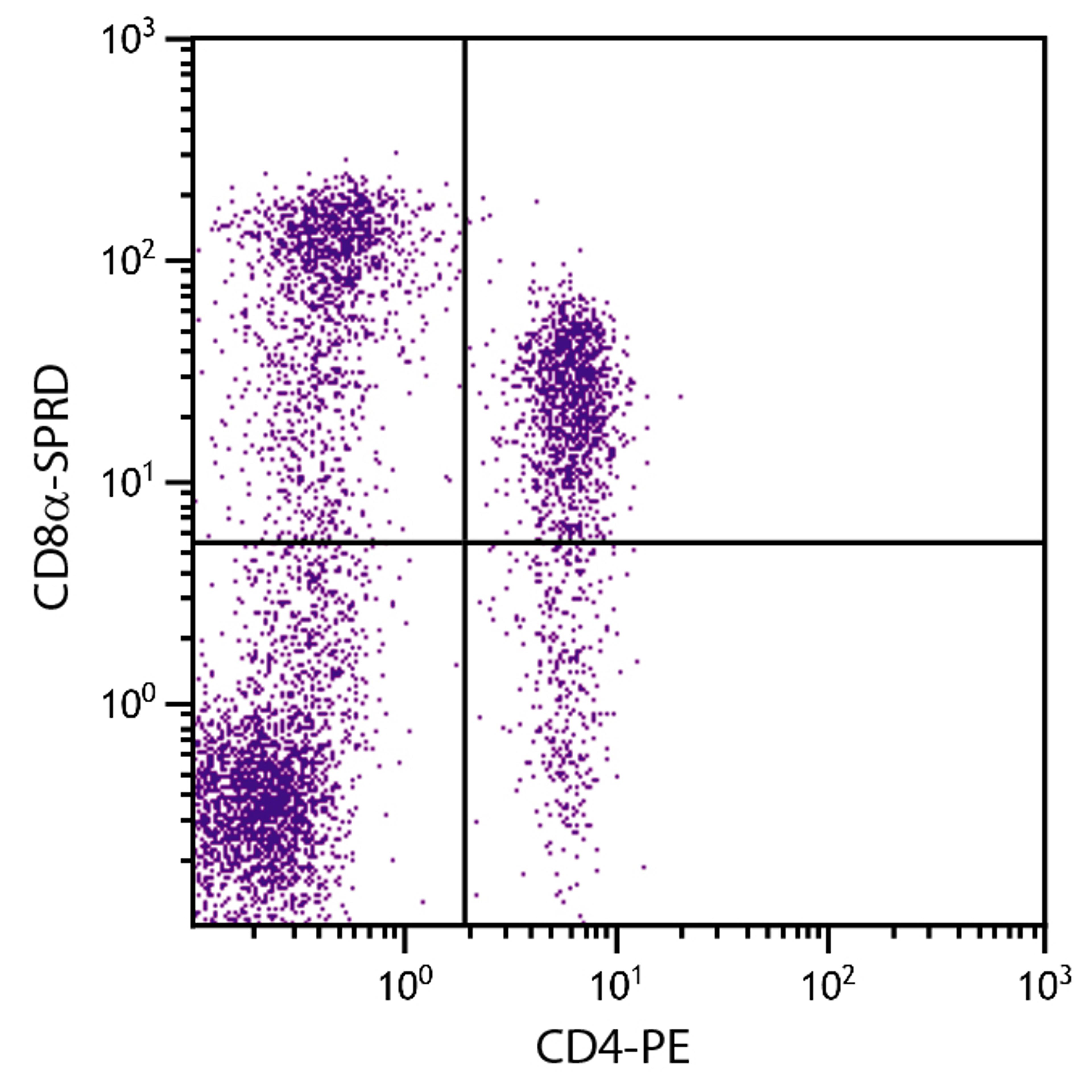 Porcine peripheral blood lymphocytes were stained with Mouse Anti-Porcine CD8?-SPRD (Cat. No. 99-153) and Mouse Anti-Porcine CD4-PE .