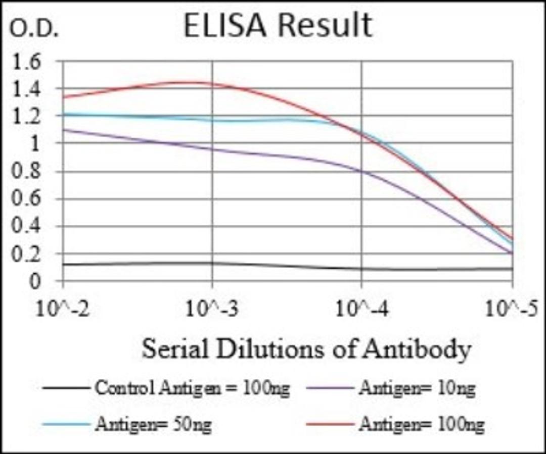 ELISA: M-CSF R Antibody (6B9B9) [NBP2-37292] - Red: Control Antigen (100ng); Purple: Antigen (10ng); Green: Antigen (50ng); Blue: Antigen (100ng);