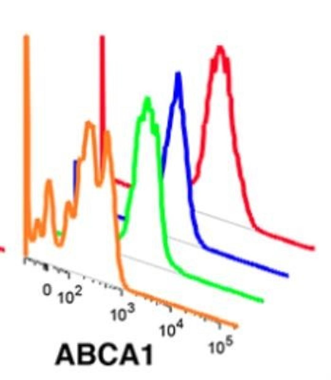 Flow Cytometry: ABCA1 Antibody [NB400-105] - ABCA-1 FITC conjugated antibody of human adipose tissue macrophage subsets by flow cytometry. Image from verified customer review.