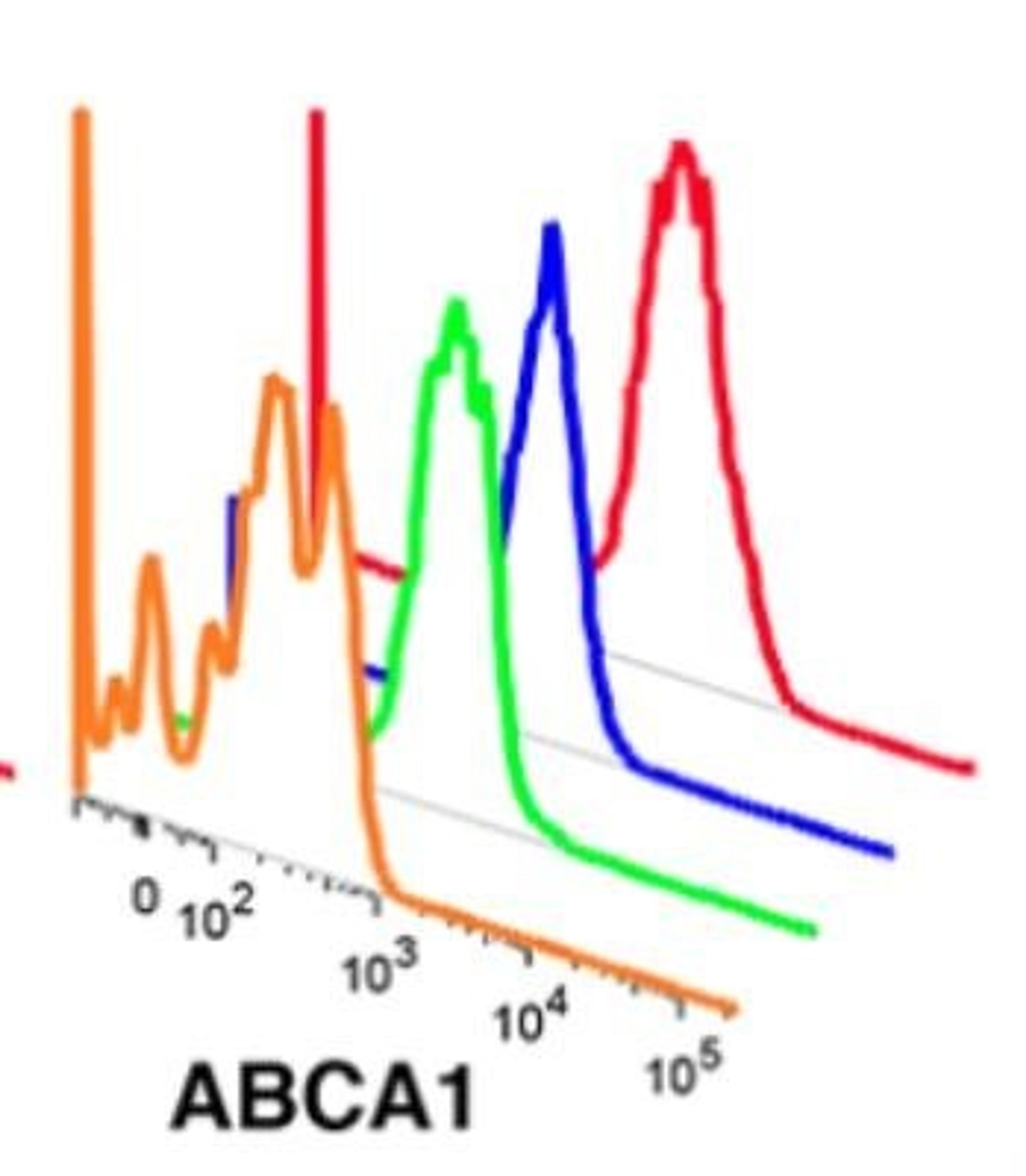 Flow Cytometry: ABCA1 Antibody [NB400-105] - ABCA-1 FITC conjugated antibody of human adipose tissue macrophage subsets by flow cytometry. Image from verified customer review.