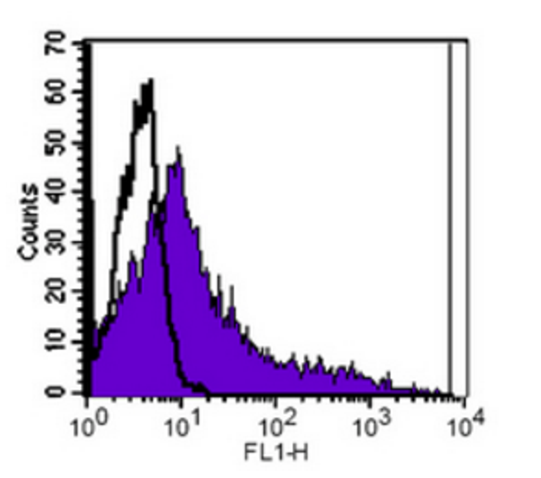 Flow cytometric analysis of human peripheral blood monocytes using CD83 antibody (FITC)