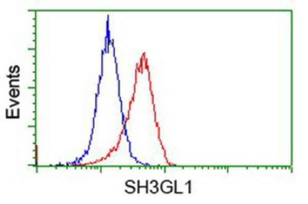 Flow Cytometry: EEN Antibody (2F5) [NBP2-02834] - Analysis of Hela cells, using anti-EEN antibody, (Red), compared to a nonspecific negative control antibody (Blue).