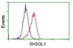 Flow Cytometry: EEN Antibody (2F5) [NBP2-02834] - Analysis of Hela cells, using anti-EEN antibody, (Red), compared to a nonspecific negative control antibody (Blue).