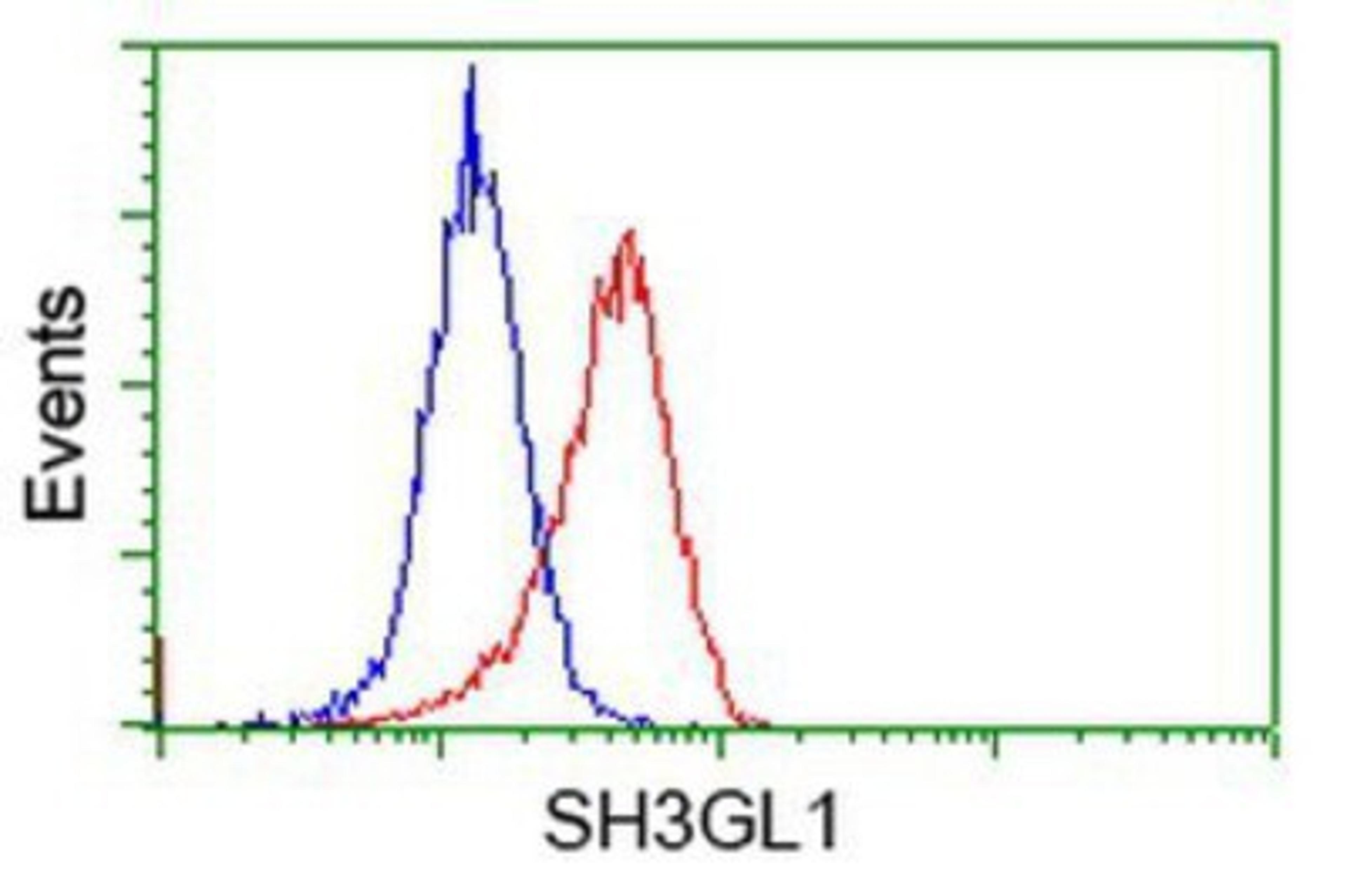 Flow Cytometry: EEN Antibody (2F5) [NBP2-02834] - Analysis of Hela cells, using anti-EEN antibody, (Red), compared to a nonspecific negative control antibody (Blue).