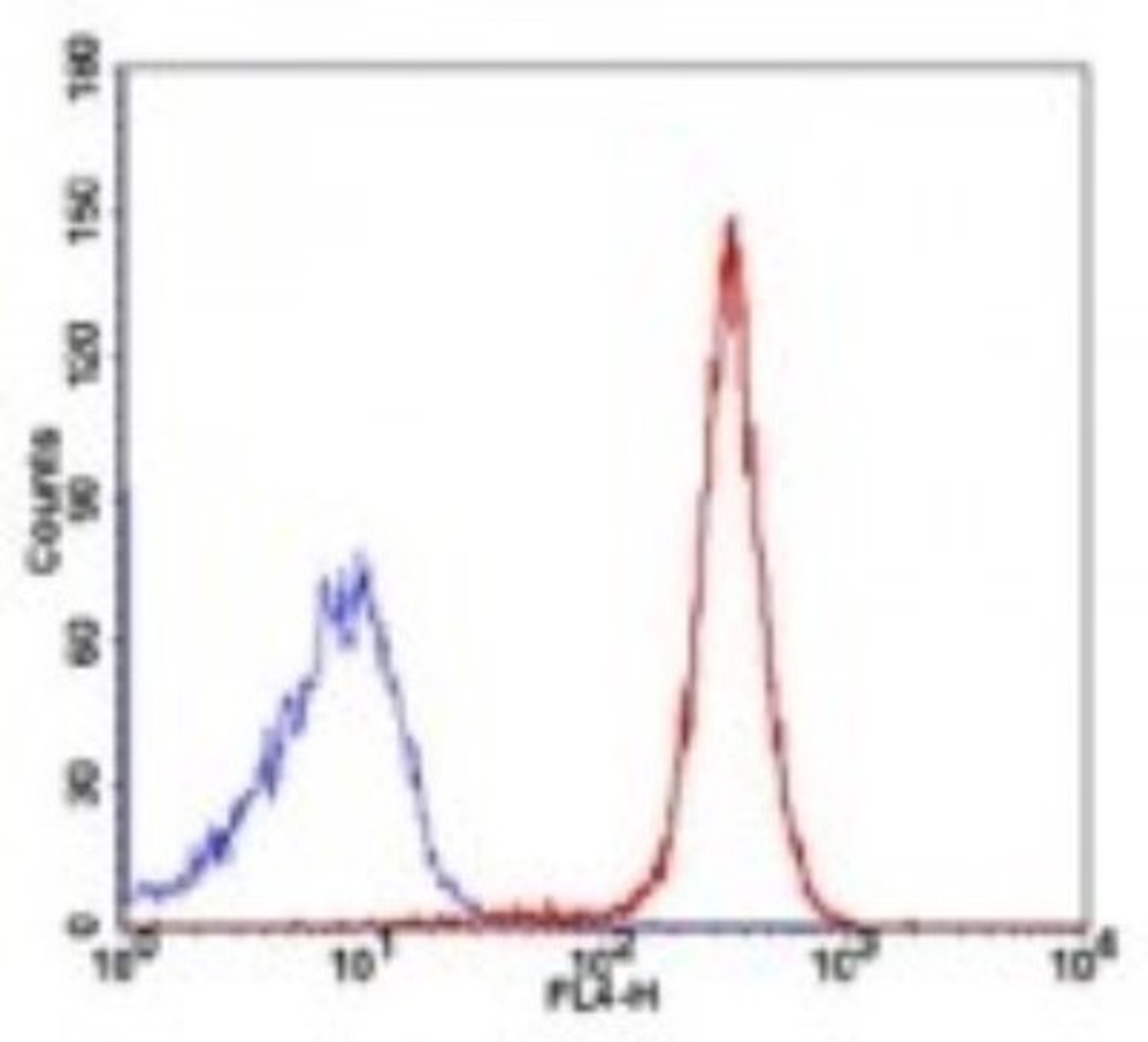 Flow Cytometry: TRF-2 Antibody (4A794.15) [NB100-56506] - Analysis using the Alexa Fluor (R) 647 conjugate of NB100-56506. Staining of TRF2 in 10^6 human Jurkat cells using 10 ul (0.1 ug) of NBP2-24823. The blue histogram represents isotype control and red represents NBP2-24823, anti-TRF2.