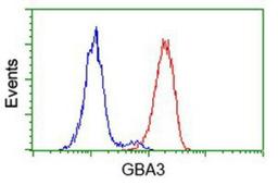 Flow Cytometry: GBA3 Antibody (1F1) [NBP2-00521] - Analysis of Hela cells, using anti-GBA3 antibody, (Red), compared to a nonspecific negative control antibody (Blue).