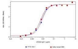 Analysis of Recombinant SARS-CoV Spike RBD [CR3022-IgG1] by ELISA. 