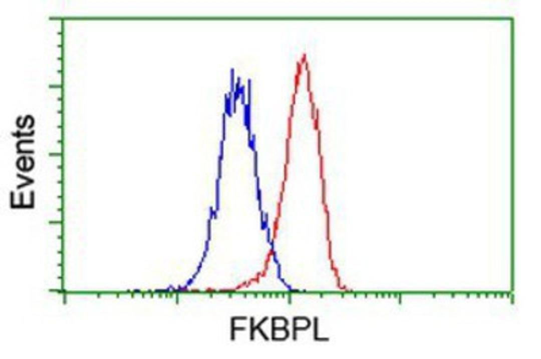 Flow Cytometry: FKBPL Antibody (2D8) [NBP2-03407] - Analysis of Hela cells, using anti-FKBPL antibody, (Red), compared to a nonspecific negative control antibody (Blue).