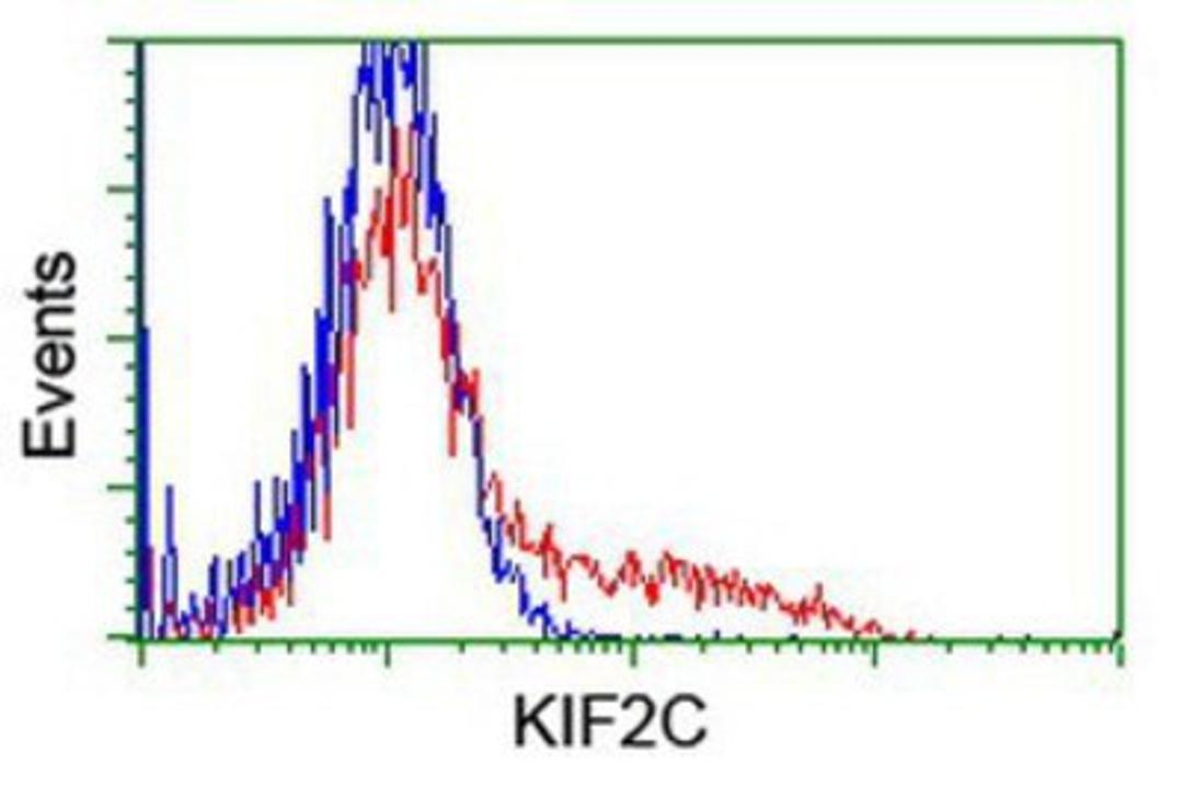 Flow Cytometry: KIF2C Antibody (1C5) [NBP2-01064] - HEK293T cells transfected with either overexpression plasmid (Red) or empty vector control plasmid (Blue) were immunostained by anti-KIF2C antibody, and then analyzed by flow cytometry.