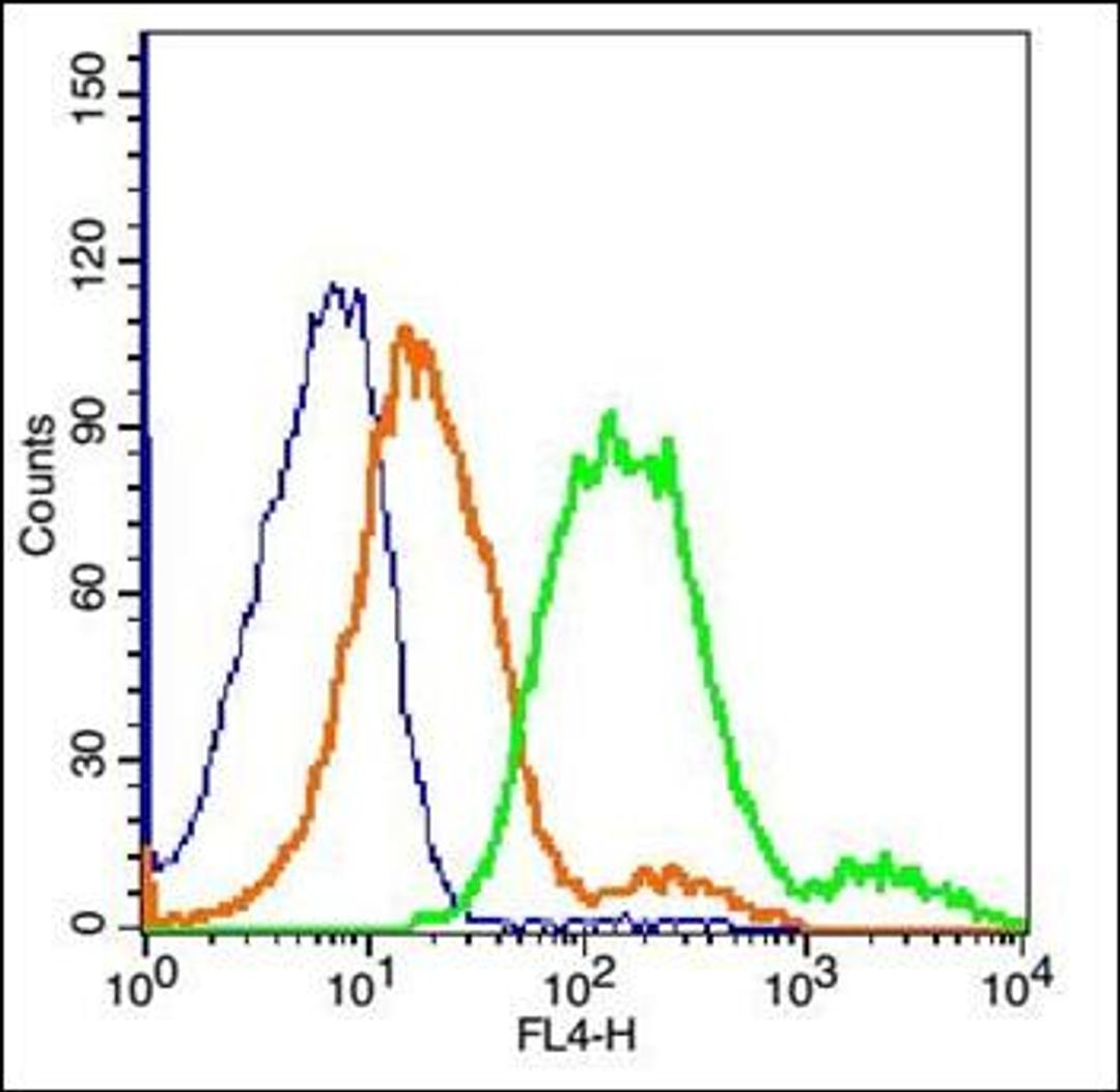 Flow cytometric analysis of MCF7 cell using MCT1 antibody.