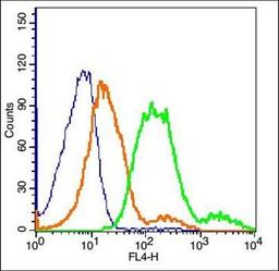 Flow cytometric analysis of MCF7 cell using MCT1 antibody.