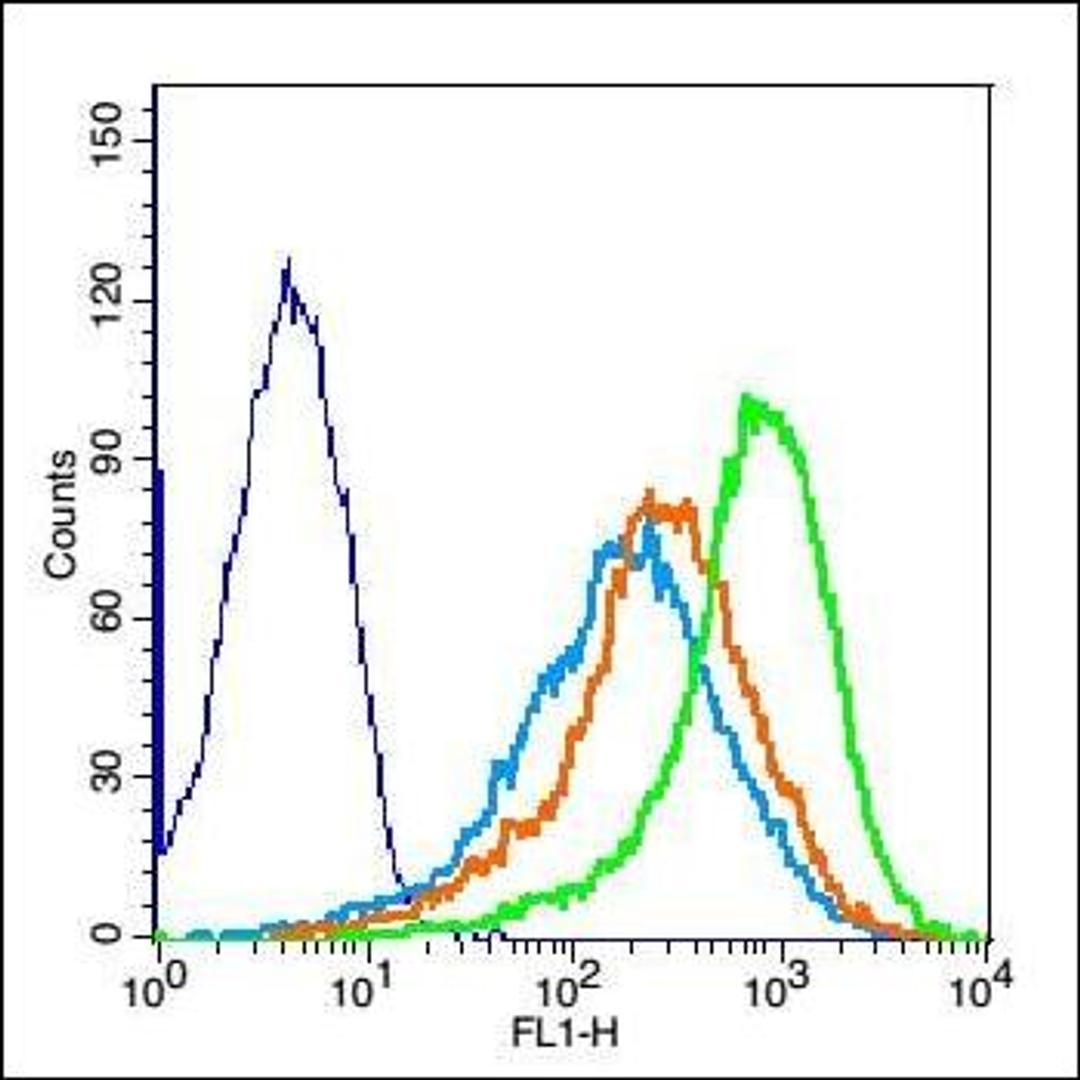 Flow cytometric analysis of (mo) splenocytes Cell using SIGLEC10 antibody.