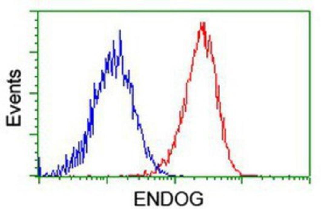 Flow Cytometry: Endo G Antibody (5F1) [NBP2-01696] - Analysis of Hela cells, using anti-Endo G antibody, (Red), compared to a nonspecific negative control antibody (Blue).