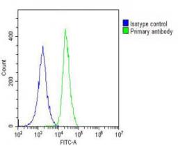 Overlay histogram showing A549 cells stained with Antibody (green line). The cells were fixed with 2% paraformaldehyde (10 min) and then permeabilized with 90% methanol for 10 min. The cells were then icubated in 2% bovine serum albumin to block non-speci