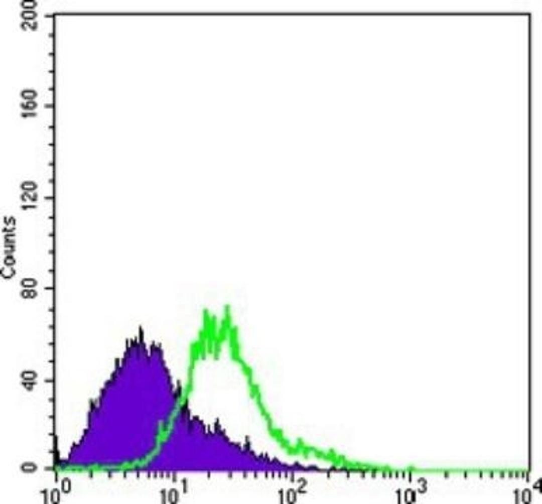 Flow Cytometry: Bcl-10 Antibody (4F8) [NBP1-51524] - Flow cytometric analysis of Hela cells using BCL10 mouse mAb (green) and negative control (purple).