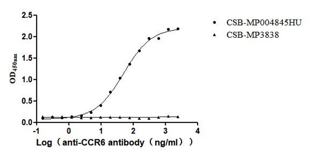 The Binding Activity of Human CCR6 with Anti-CCR6 Recombinant Antibody. Activity: Measured by its binding ability in a functional ELISA. Immobilized Human CCR6 (CSB-MP004845HU) at 10 μg/mL can bind Anti-CCR6 recombinant antibody. The EC<sub>50</sub> is 44.79-56.10 ng/mL.. The VLPs (CSB-MP3838) is negative control.
