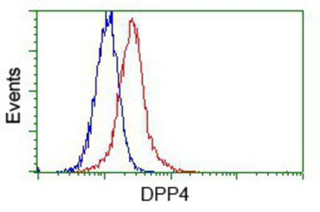 Flow Cytometry: CD26 Antibody (11D7) [NBP2-02154] - Analysis of Hela cells, using anti-CD26 antibody, (Red) compared to a nonspecific negative control antibody (Blue).