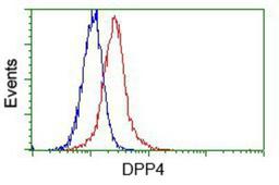 Flow Cytometry: CD26 Antibody (11D7) [NBP2-02154] - Analysis of Hela cells, using anti-CD26 antibody, (Red) compared to a nonspecific negative control antibody (Blue).