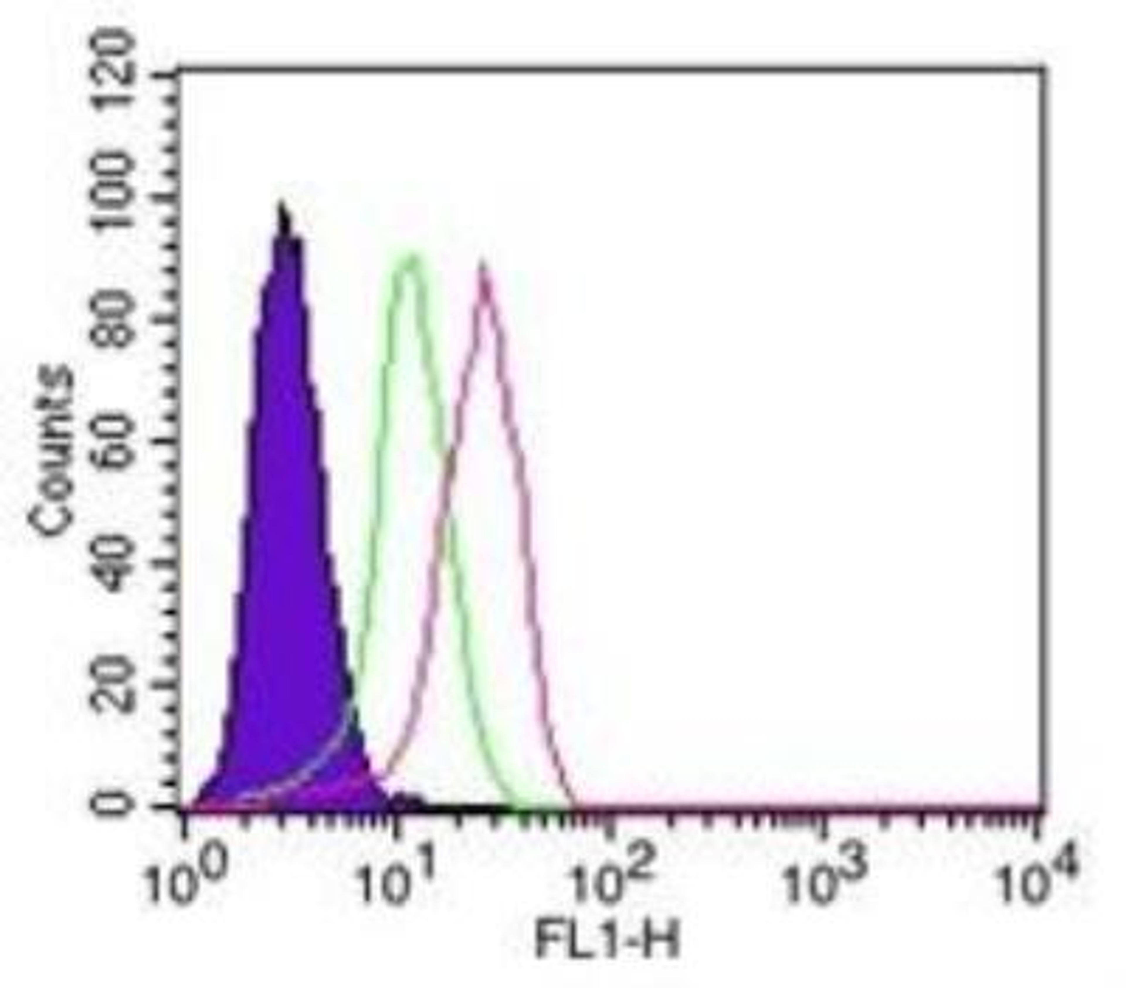 Flow Cytometry: IkB-alpha Antibody (6A920) [NB100-56507] - Intracellular staining of 10^6 ThP-1 cells using 0.25 ug of NB100-56507. Shaded histogram represents cells alone, green represents the isotype control, and red represents the IkBa antibody. Novus's intracellular flow kit  was used for this test, and an anti-mouse IgG FITC conjugated secondary.